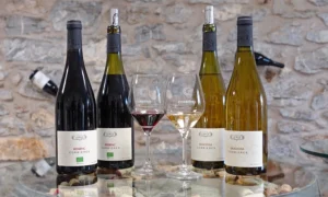Domaine Lérys - Vins des Corbières - Rogenc & Graciosa